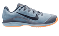 Nike Vapor 12 Clay Court Tennis Shoes 'Ashen Slate / Obsidian' HQ6026-400